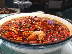 -雲蜀龙阁·金牌水煮鱼(方庄店)