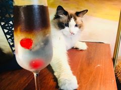 -咖法森林·咖啡  酒吧(天河店)