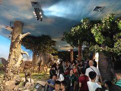 -国家自然博物馆