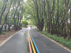 -同里国家湿地公园