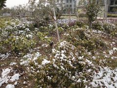 -东南大学(九龙湖校区)
