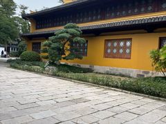 -江心屿景区