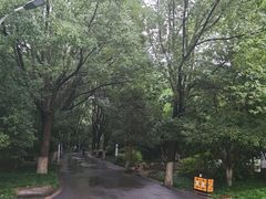 -四季春(美食街店)