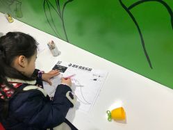 -恐龙探索乐园(磁器口店)