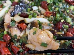 来凤鱼-东吴霸王兔(松青路店)