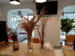 -净漪造型 PURE RIPPLE