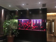 -大唐盲人按摩中心(黄山路店)