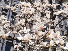 -江南大学(蠡湖校区)