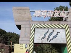 -中华恐龙园