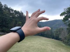 -南宁良凤江国家森林公园