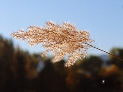 -北坞公园