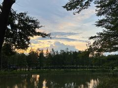 -森波拉奇妙世界