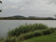 -羊山湖公园