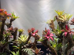 -扶摇湘宴·烤鸭·湘粤宴(中关村·北大店)