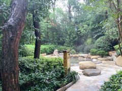 -天目湖涵田半山温泉