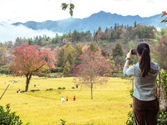 -塔川景区