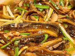 软兜长鱼-芳芳私房菜·精做淮扬菜(承德路店)