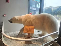 -魏客咖啡(中铁中心店)