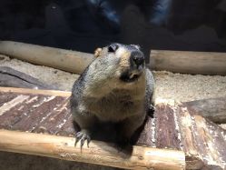 -酷嗒动物文化乐园(cutezoo西溪乐天城店)