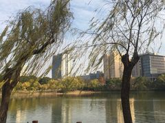 -黄兴公园