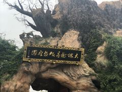 -大槐树寻根祭祖园