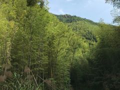 -广州市石门国家森林公园