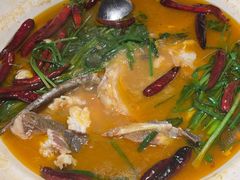 -清水亭湖北菜(大屯DT51店)