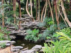 -深圳国际园林花卉博览园