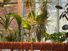 -Grid Coffee(大运天地店)