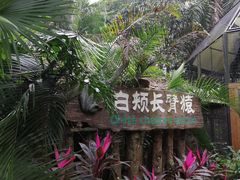 -海南热带野生动植物园