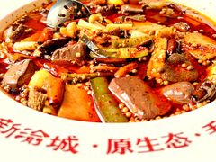 霸王毛血旺-新渝城·始于2000年(淘金店)
