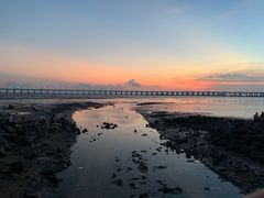 -宝安西湾红树林湿地公园