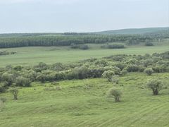 -塞罕坝国家级自然保护区