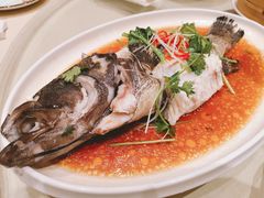 清蒸斑鱼-将相和·海鲜蒸饺大连菜
