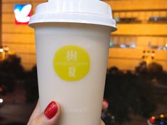 豆乳蜜桃-树夏(鹭洲里店)