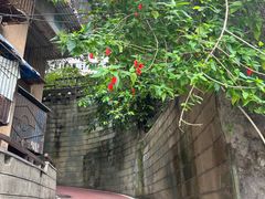 -白象居