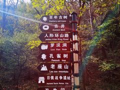 -金龙寺国家森林公园