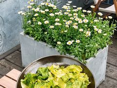 -苦尽酒馆·川菜(鼓楼店)