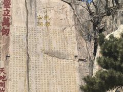 -华夏良子·足道SPA艾灸(龙潭路店)