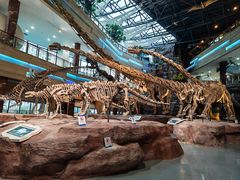 -安徽省地质博物馆