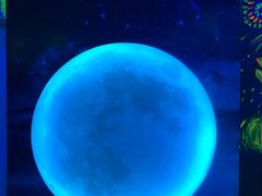 -天津梵高星空艺术馆(天河城旗舰店)