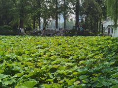 -包公祠