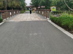 -长田漾湿地公园