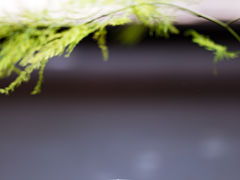 冰美式-boundaries籬苑(瑞光创意工厂-贰号院店)