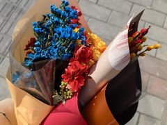 -双季花艺园艺市场(浦东店)