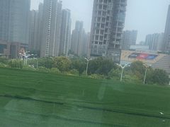 -红顶食府(滨湖九号店)