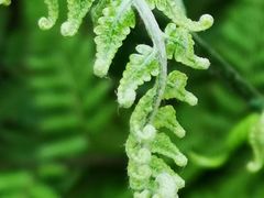 -华南国家植物园-售票处