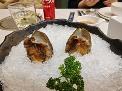 十头鲍鱼-帝皇海海鲜豆捞(桐泾商务广场店)