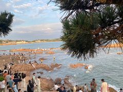 -青岛第二海水浴场