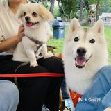 甜美妍打卡——长岭湖集酷小镇🏕